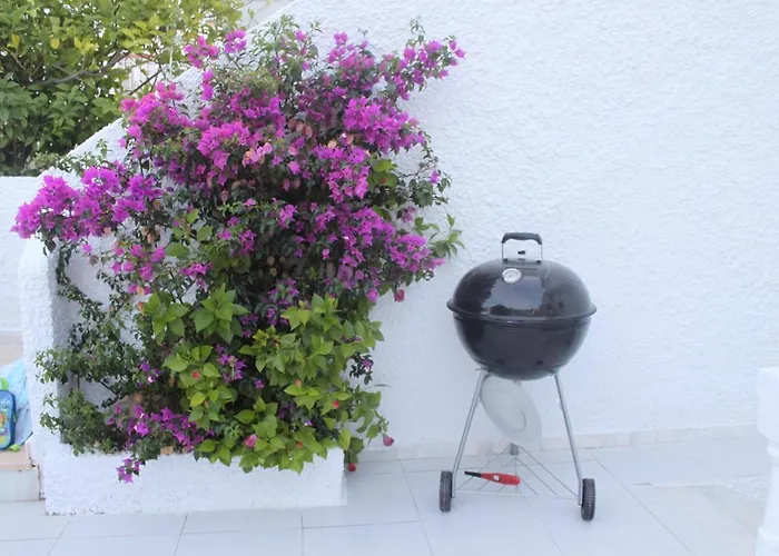 Cerca De La Playa De La Mata Torrevieja